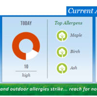 Allergy Alert Norwalk: May Is Worst Month For Allergy Sufferers