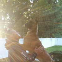 <p>Remco shares a majestic moment with Mahwah Police Officer Robert Rapp.</p>