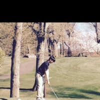 <p>Brendan Lee is a senior member of Cresskill Cougars&#x27; Golf team.</p>