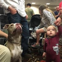 <p>Ambassador dog K-9 Kiah visits with kids at a recent police conference and vendor show in Las Vegas.</p>