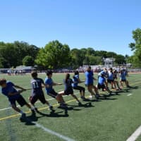 <p>A tug of war pits student against teachers on the June 10 Field Day at Bronxville Middle School.</p>