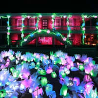 <p>Illuminated flowers and other things brighten the night at the Lightscapes show at Van Cortlandt Manor in Croton-on-Hudson. A Yorktown man recently used the brilliant displays as a backdrop for his proposal to his girlfriend.</p>