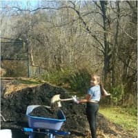 <p>Mahopac Girl Scout Troop 1286 and Mahopac High School recently teamed did a fall cleanup of the high school&#x27;s gardens.</p>