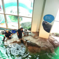 <p>The Maritime Aquarium is one of many attractions taking part in a summer promotion.</p>