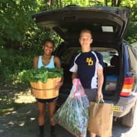 <p>Millbrook students pack up produce to take to a food pantry in Amenia.</p>