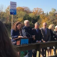 <p>Mamaroneck town Supervisor Nancy Seligson speaks at Wednesday&#x27;s news conference.</p>