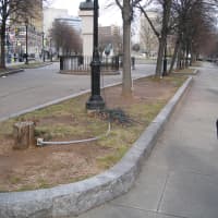 <p>Before Biederman worked on Military Park.</p>