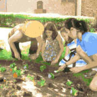 <p>Students plant outside of The Chapel School in Bronxville.</p>