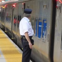 <p>Nine weeks of track work in the Bronx, N.Y., this summer may cause train delays on the New Haven Line, Metro-North announced.</p>