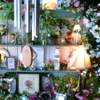 <p>There&#x27;s something for every shopper at Sassafras in South Norwalk.</p>