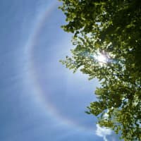 <p>Humidity will begin to climb this week across Fairfield County.</p>