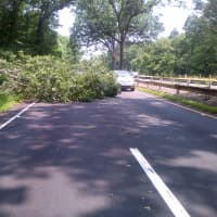 <p>A fallen tree blocks the right lane of the Merritt Parkway in Norwalk. </p>