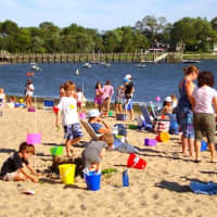 <p>Families relax on a bright, sunny day at Weed Beach in Darien. But the beach exceeds the state&#x27;s daily maximum bacterial standard about 19 percent of the time, according to a recent report. 
</p>