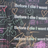 <p>A new art installation in White Plain&#x27;s Renaissance Square asks people to write what they want to do before they die.
</p>