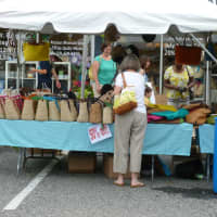 <p>Shoppers were out looking for bargains Friday at the annual Darien Sidewalk Sales &amp; Family Fun Days.</p>