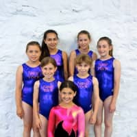 <p>The girls from the International School of Gymnastics who competed at the U.S. Gymnastics Xcel Regional Competition.</p>