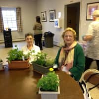 <p>Lewisboro Senior Adult members Donna Longo and Patricia Creamer attend one of the group&#x27;s gardening club events earlier this year. </p>
