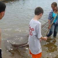 <p>Summer campers at the Mamaroneck Marine Education Center utilized an ancient fishing technique, known as seining, to capture new wildlife for the aquariums. </p>