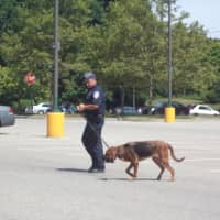 <p>An officer uses a dog to search outside of the A&amp;P at the Cortlandt Town Center that was the site of a bank robbery Wednesday morning. </p>