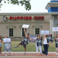 <p>NY Breeder in White Plains was temporarily closed by the Westchester Health Department, just two weeks after protesters stood outside the store.</p>