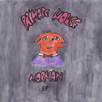 <p>Primate House released its first album in March.</p>