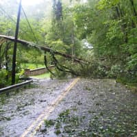 <p>Wild weather devastated Easton throughout 2011, there was a blizzard in January, an earthquake and tropical storm in August and a freak snowstorm in October.</p>