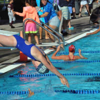 <p>Ossining&#x27;s Stella Myerhoffer enters the pool.</p>