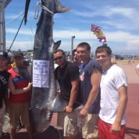 <p>Max Alfaro, Nick Manfredo, Freddie Martignetti, Matt OShea, Jimmy Codella and Alex Ricevuto of New Rochelle and Mamaroneck reeled in a record-breaking 423-pound thresher shark.</p>