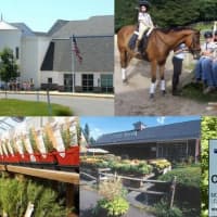 <p>Area farms will take part in the fifth annual Easton Farm Tour. </p>