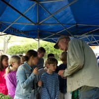 <p>Chef Brian Lewis of Elm Restaurant in New Canaan teaches kids about locally grown food during his &quot;Lil Foodies&quot; program. </p>