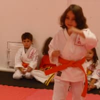 <p>A young karate student demonstrates a kata.</p>