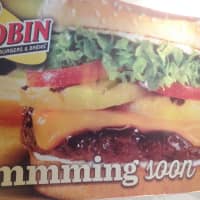 <p>A mural on the interior wall of the Danbury Fair Mall hides construction of the new Red Robin restaurant. </p>