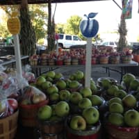 <p>Outhouse Orchard has a wide variety of apples to choose from.</p>