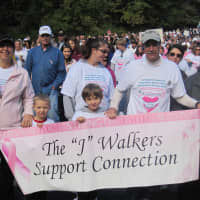 <p>More than 9,000 attended Yorktown&#x27;s Support-A-Walk last year.</p>