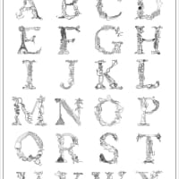 <p>All 26 letters took Lindberg seven years to create.</p>