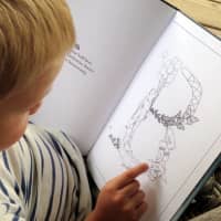 <p>The book is designed to make the experience of learning the ABCs a more engaging experience, with the additional intention of becoming fascinating artwork to have in a home library or coffee table. </p>