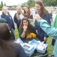 <p>Hastings High School science students collect samples for testing at the Hastings waterfront.</p>