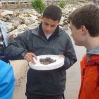 <p>Hastings High School science students analyze river bed samples.</p>