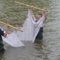 <p>Hastings High School science students collect samples of river life for testing at the Hastings waterfront.</p>