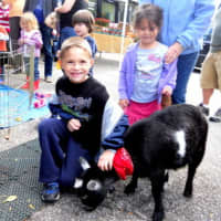 <p>The event will include a petting zoo.</p>
