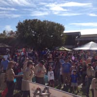 <p>Thousands of residents came out in Harrison Monday, Oct. 14 for the 36th annual &quot;It&#x27;s Great to Live in Harrison&quot; parade and festival.</p>