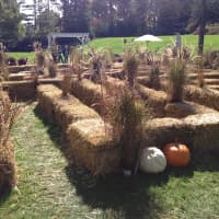 <p>Kids can also play in a haystack maze.</p>