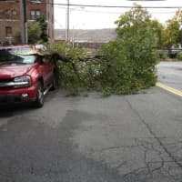<p>Tree vs. car in the Ludlow Park section of Yonkers after Sandy&#x27;s arrival.</p>