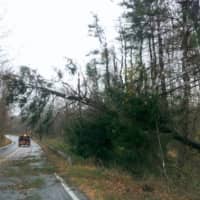 <p>Downed trees, like this one in Lewisboro, were plentiful after Sandy struck.</p>