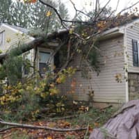 <p>A tree fell on a house just down the street from the North Salem Ambulance Corps shelter on Daniel Road.</p>