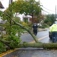 <p>Hurricane Sandy toppled trees and blocked roads in White Plains.</p>