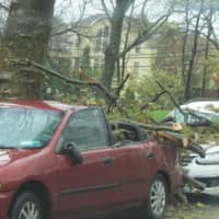 <p>Downed tree branches sit on a car in New Rochelle following Hurricane Sandy.</p>