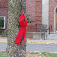 <p>A red ribbon on a tree in Eastchester.</p>