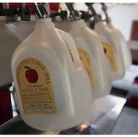 <p>Fresh cider being jugged by the gallon at Thompson&#x27;s Cider Mill. </p>