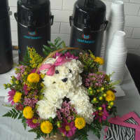 <p>A fitting centerpiece for the Tuckahoe dog grooming salon.</p>